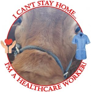 Meet your Posher, Janet